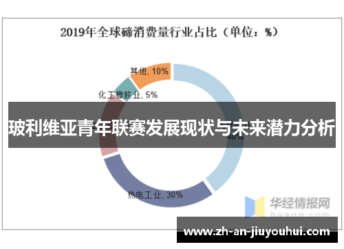 玻利维亚青年联赛发展现状与未来潜力分析 玻利维亚青年联赛发展现状与未来潜力分析