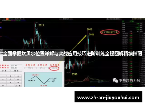 全面掌握坎贝尔位置详解与实战应用技巧进阶训练全程图解精编指南