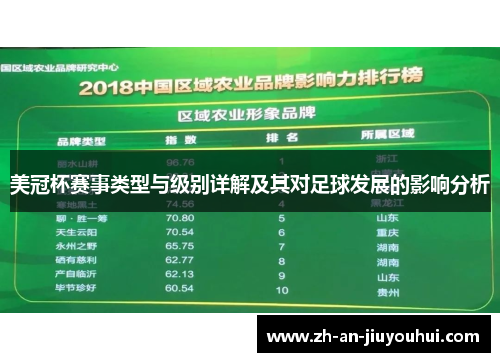 美冠杯赛事类型与级别详解及其对足球发展的影响分析