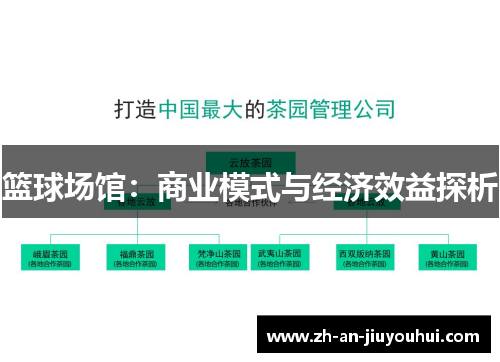 篮球场馆：商业模式与经济效益探析
